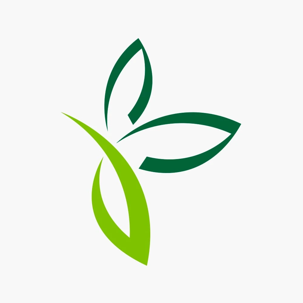 Kentiapalm - Howea Forsteriana - p17 h70 - Kamerplant Kentiapalm - Howea Forsteriana - P17 H70 - Kamerplant -Plantenverzorging Winkel kentiapalm howea forsteriana p17 h70 5