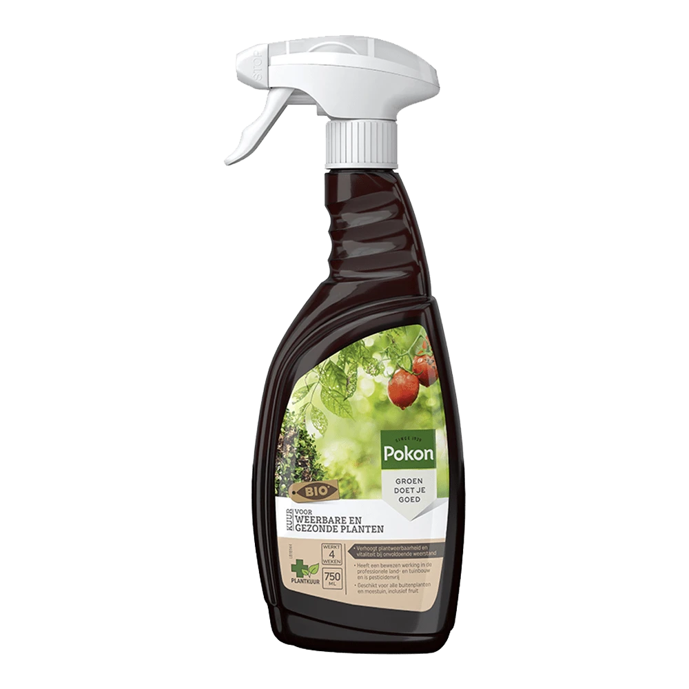 Pokon Bio Kuur Voor Weerbare En Gezonde Planten Spray 750ml - Insecten En Ongedierte -Plantenverzorging Winkel pokon bio kuur voor weerbare en gezonde planten spray 750ml insecten en ongedierte 1 1
